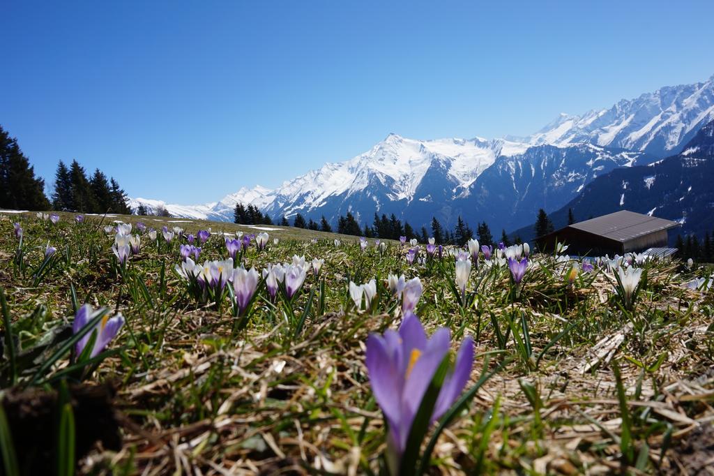 Apart Heim Ramsau im Zillertal Extérieur photo